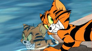 Il gatto Tigre