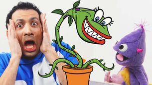 La piantina di Pupa