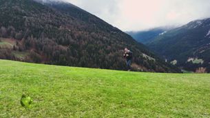 Puntata dell'8 giugno
