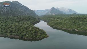 Puntata dell'8 giugno