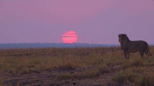 Ep. 1 - Botswana