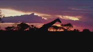 Ep. 2 - South Africa