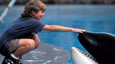Free Willy - Un amico da salvare