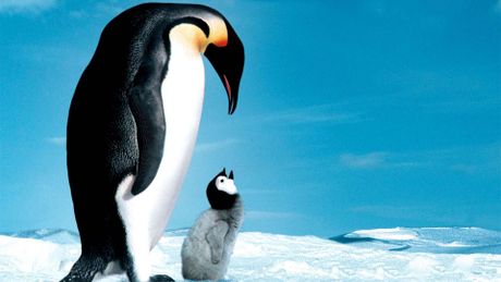 La marcia dei pinguini
