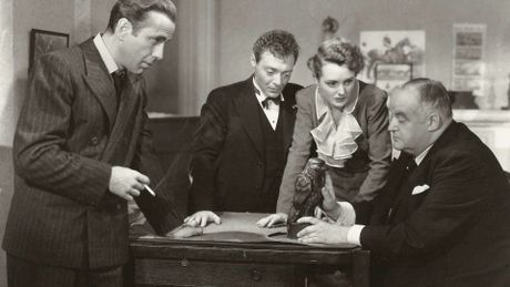 Il mistero del falco