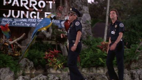 Scuola di Polizia 5: destinazione Miami