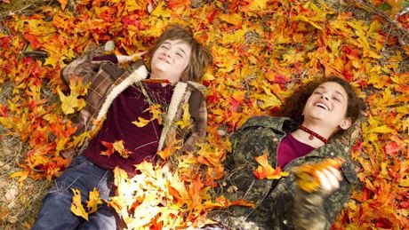L'incredibile vita di Timothy Green