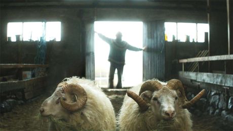 Rams - Storia di due fratelli e otto pecore