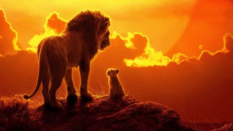 Il re leone