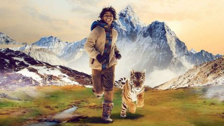 Il ragazzo e la tigre