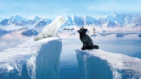 Kina e Yuk alla scoperta del mondo