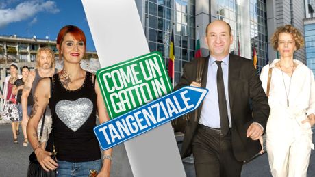 Come un gatto in tangenziale