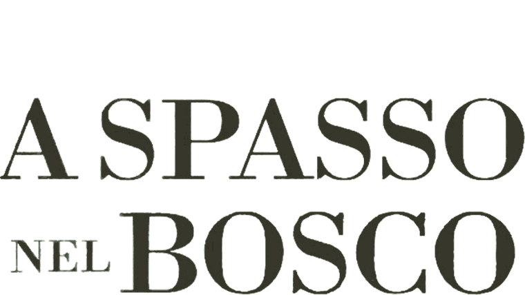 A spasso nel bosco