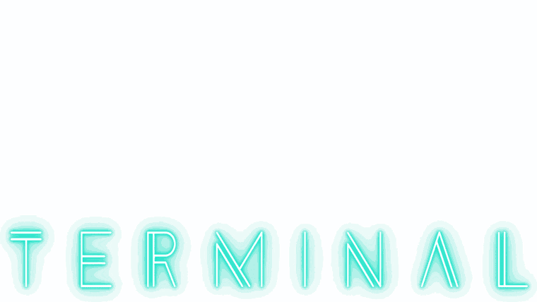 Terminal