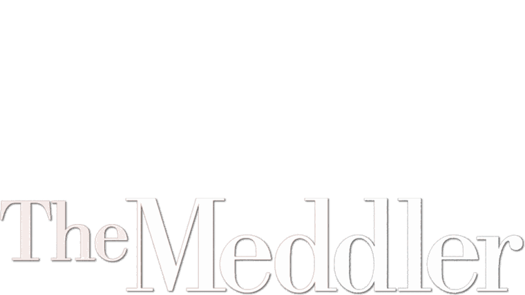 The Meddler - Un'inguaribile ottimista