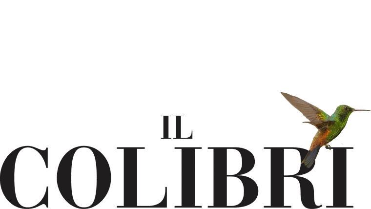 Il colibrì