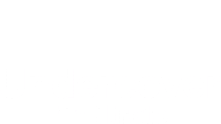 Undercover - L'infiltrato