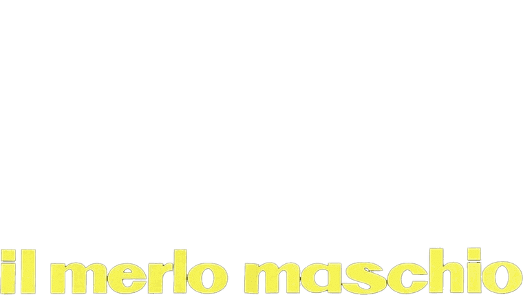 Il merlo maschio