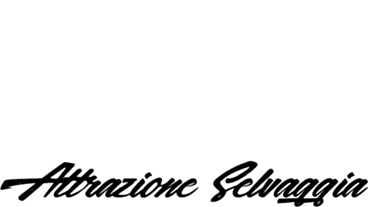 Attrazione selvaggia