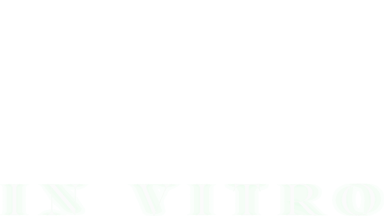 In Vitro