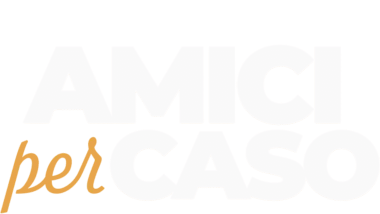 Amici per caso
