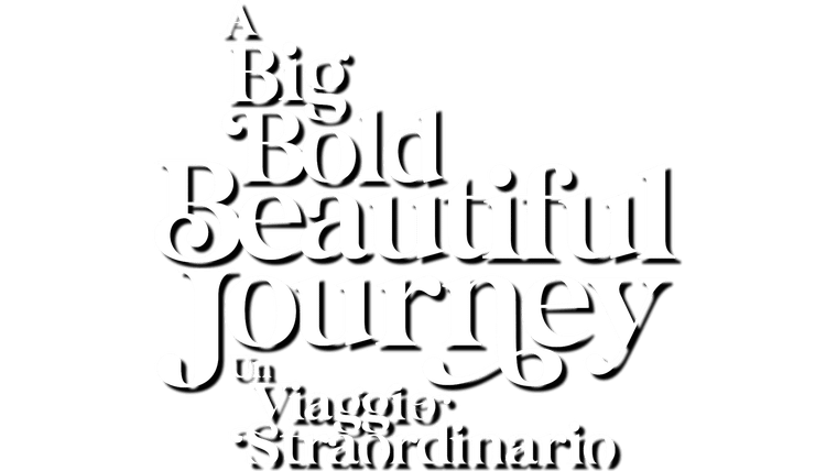 A Big Bold Beautiful Journey - Un viaggio straordinario